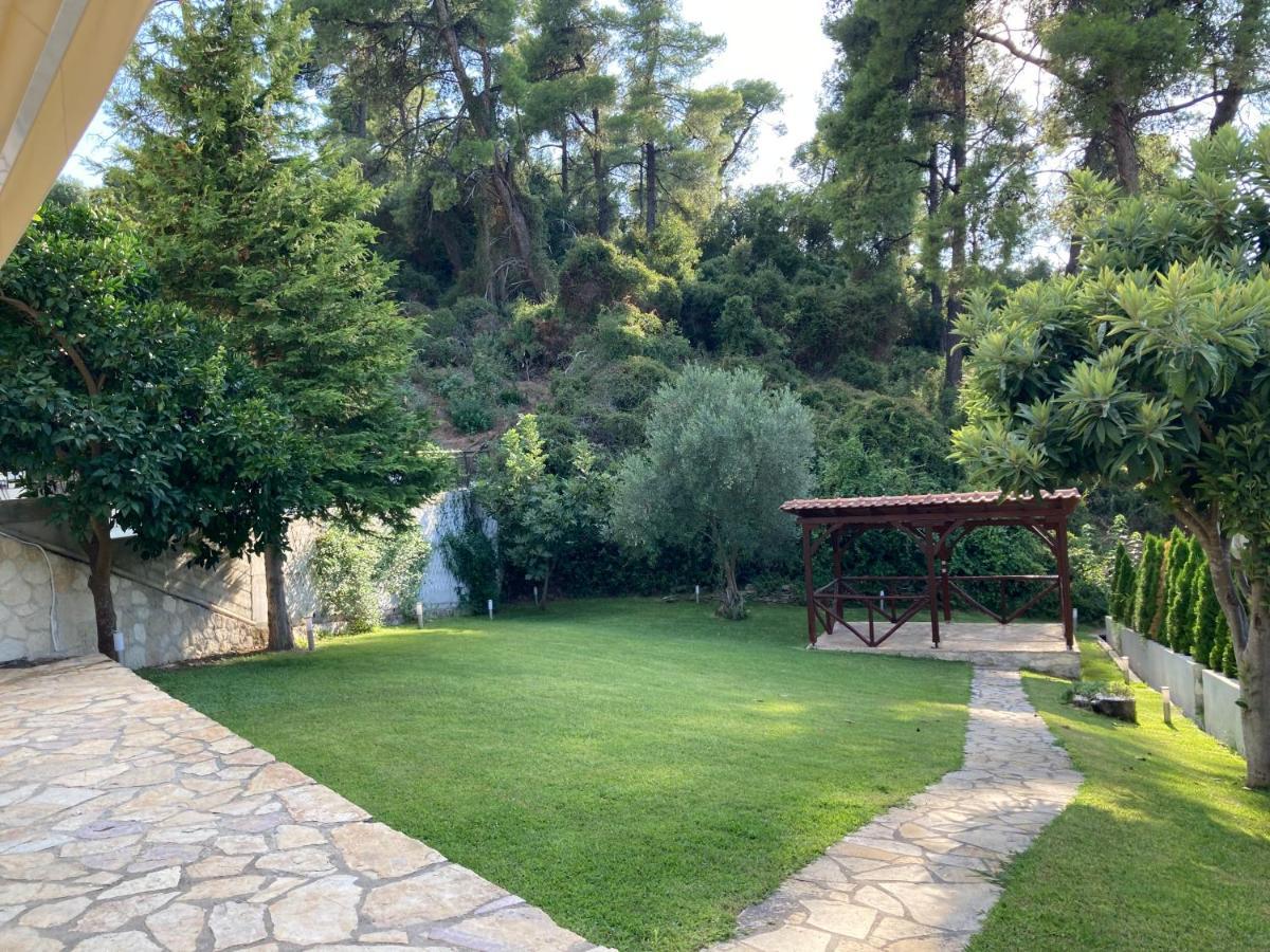 Villa Elani カッサンドレイア エクステリア 写真