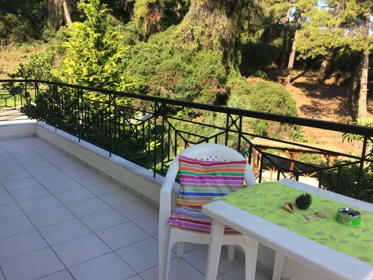 Villa Elani カッサンドレイア エクステリア 写真