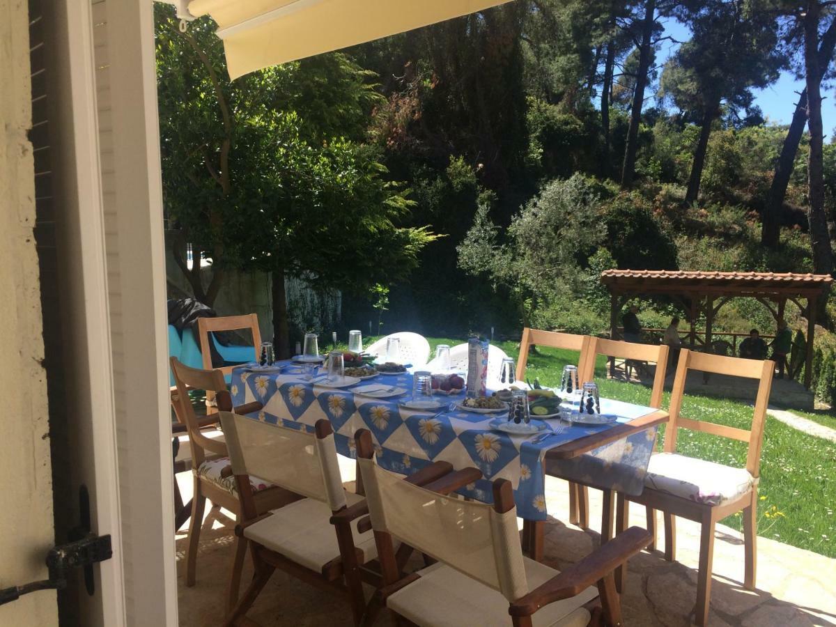 Villa Elani カッサンドレイア エクステリア 写真