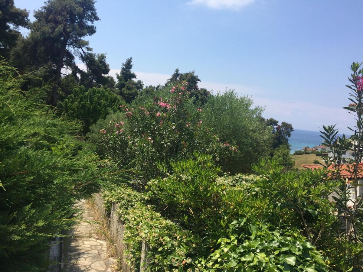 Villa Elani カッサンドレイア エクステリア 写真